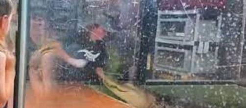Une soignante happée par un alligator s'en sort miraculeusement (photo : capture Youtube)