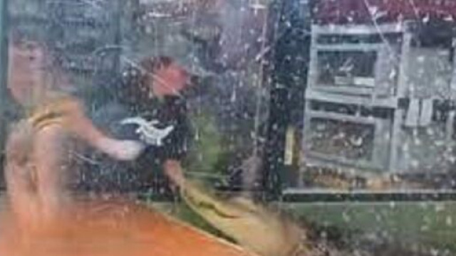 Une soignante happ&eacute;e par un alligator s'en sort miraculeusement (photo : capture Youtube)