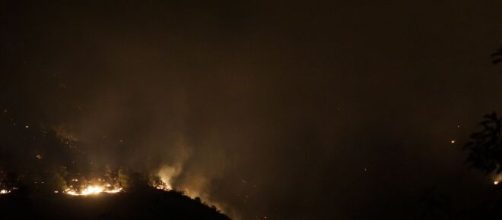 Además de la muerte de un bombero, más de 3.600 hectáreas fueron quemadas y 1.000 personas fueron evacuadas debido al incendio (Flickr)