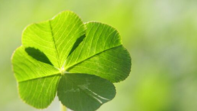 Oroscopo e classifica della fortuna per l’autunno: Capricorno e Gemelli tra i favoriti.