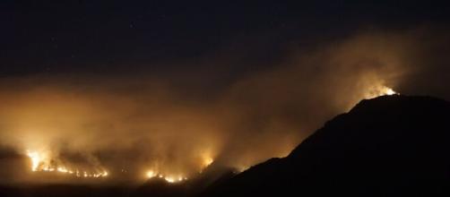 El incendio de Sierra Bermeja continúa imparable (Infoca)
