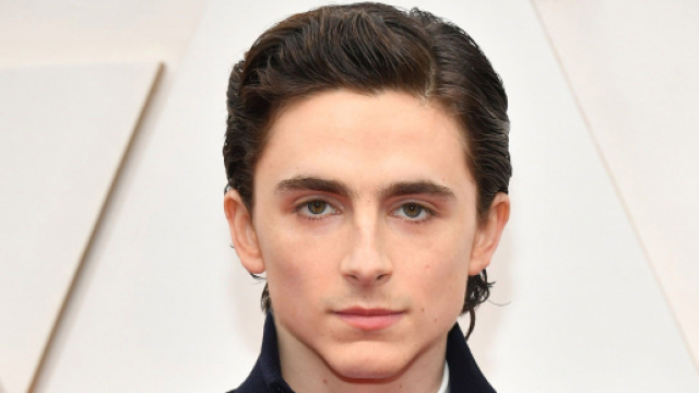 Timothée Chalamet, attore classe 1995.
