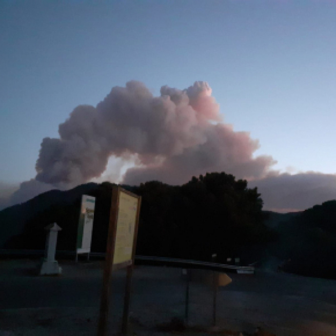 El fuego en Sierra Bermeja continúa en actividad pero ha sido controlado gracias a la lluvia que cayó ayer por la noche (@Plan_INFOCA))
