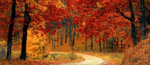 Previsioni oroscopo per il mese di ottobre 2021, 2^ sestina.