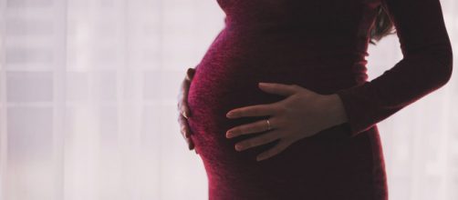 La mujer embarazada tampoco quiso hacerse PCR y obligó a los sanitarios a usar su EPI (Pixabay)