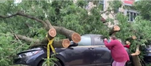 Hurricane Isaias uproots trees in Brooklyn (Image source: VOA News/YouTube)