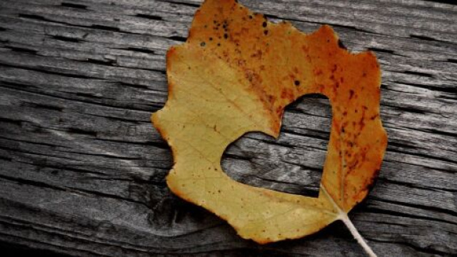 Oroscopo e classifica dell'autunno per l'amore: fortuna per i segni di fuoco.