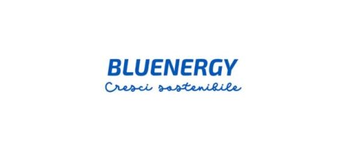 Numero verde Bluenergy: offerte luce e gas per la casa, il condominio e l'azienda.