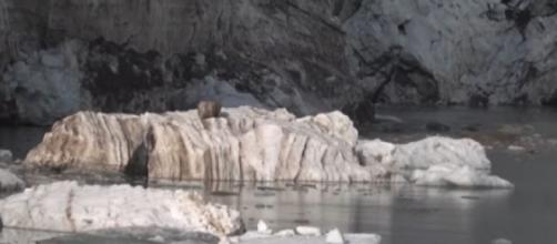 From the Arctic to the Alps, world's glaciers melting at a faster rate (Image source: FRANCE 24 English/YouTube)