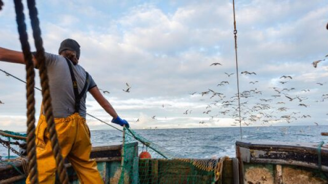 La disputa tra Francia e Gran Bretagna per la pesca nelle acque territoriali.