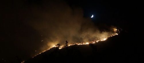 Incendios forestales en el Parque Nacional Sierra Bermeja (Flickr)