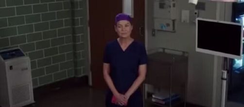 Nella season premiere di Grey's Anatomy 18, Meredith Grey incontrerà il dottor David Hamilton.