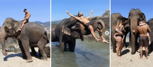 JLC Family en Thaïlande, sur des éléphants - Source : montage, Instagram