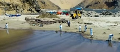 Beaches and birds in Peru covered in oil after the Tonga volcano eruption and tsunami (Image source: Insider News/YouTube)