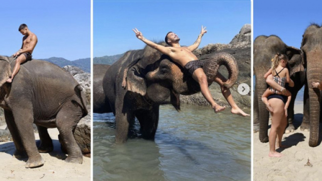 JLC Family en Thaïlande, sur des éléphants - Source : montage, Instagram