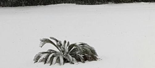 Foto di repertorio della neve nel Salento.