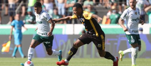 Palmeiras derrotou o Novorizontino (Cesar Greco/Palmeiras)