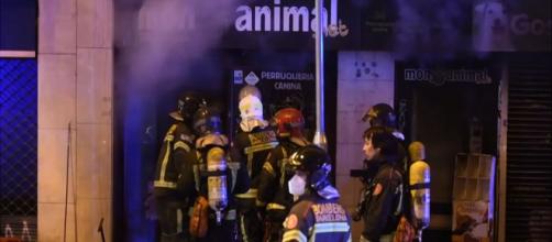 Un incendio en el barrio de Sants-Montjuïc, Barcelona, terminó causando el fallecimiento de decenas de animales (YouTube / Crónica Balear)