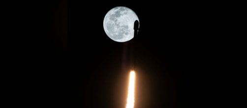 El cohete de SpaceX va en camino de estrellarse contra la Luna (Twitter/@elonmusk)
