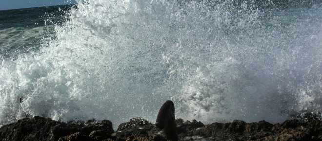 29/30 gennaio: allerta meteo sul Salento, freddo e vento in arrivo per il weekend
