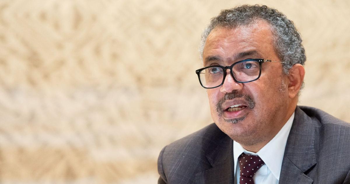 Não é verdade: de OMS dizendo que vacinas matam crianças ao sigilo sobre provas do caso Maxwell - Blasting News Brasil