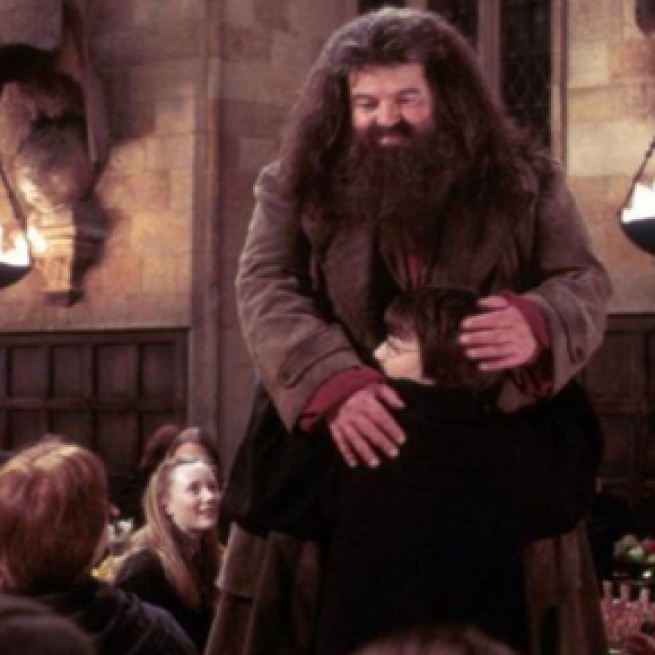 El guardabosques de Hogwarts es una figura muy importante en la saga (Captura de pantalla de 'Harry Potter')