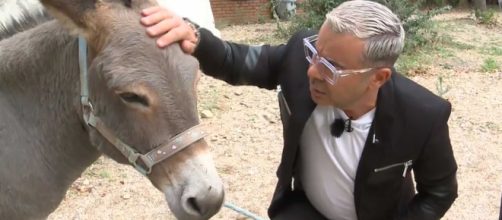 Jorge Javier Vázquez ya tiene a su burro en casa y desveló que se llama Fortunato (Captura Telecinco)