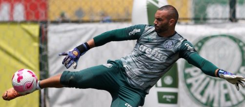 Goleiro Weverton treina para o jogo diante do Avaí (Cesar Greco/Palmeiras)