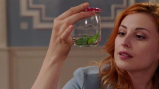 Tempesta d'amore, trame tedesche: Constanze distrugge il progetto di Florian e Maja.