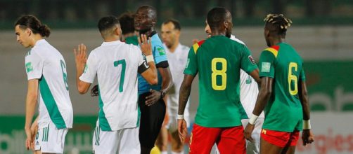 Algérie-Cameroun arrangé, un international camerounais se lâche. (crédit Twitter)