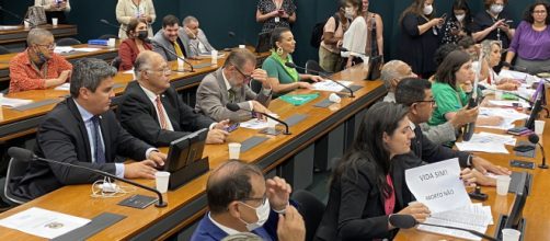 Votação do Estatuto do Nascituro na Câmara está marcada para 14 de dezembro (Reprodução/Deputado Diego Garcia)