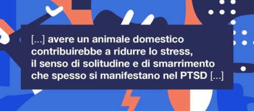 Gli animali domestici migliorano l'umore nei casi di PTSD (VIDEO).