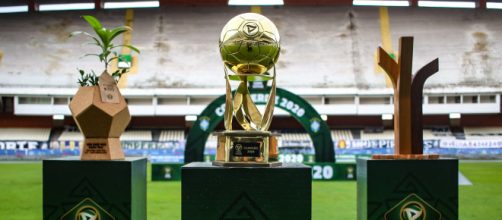 Copa Verde voltará a ser no primeiro semestre (Fernando Torres/CBF)
