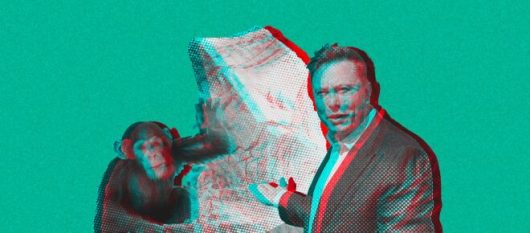 news-image