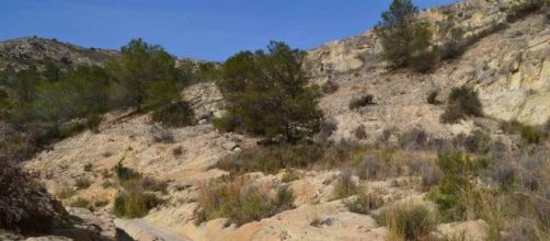 El barranco del Grifo donde se han encontrado los cuerpos torturados de una pareja (Ayuntamiento Elche)