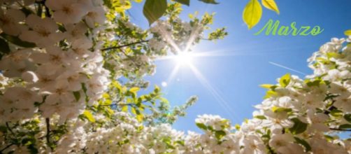 L'oroscopo di marzo, 1^ sestina: arriva la primavera per l'Ariete, Gemelli fortunato.