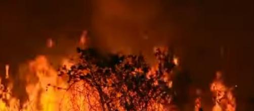 Wildfires in Amazon rainforest (Image source: ABC News)