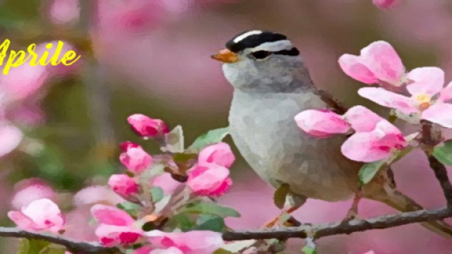 L'oroscopo di aprile, 1^ sestina: Sole si affaccia nel segno dell'Ariete, Cancro brillante.