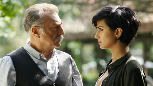 Brave and Beautiful anticipazioni: Tahsin chiede a S&uuml;han di chiedere il divorzio.