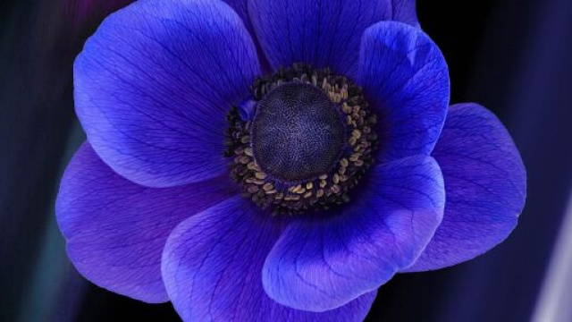 L'oroscopo del giorno 31 marzo: in risalita l'amore per Bilancia, Acquario gi&ugrave; (2&ordf; met&agrave;).