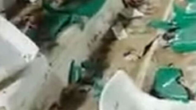 Alg&eacute;rie : le stade Tchaker de Blida d&eacute;truit par les supporters (capture YouTube)