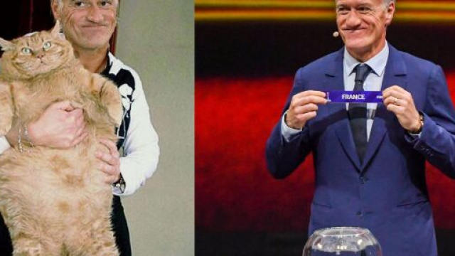 La chatte à DD pour le tirage au sort ?