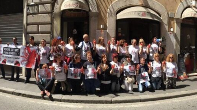 Intervista a Walter Caporale, presidente degli Animalisti Italiani