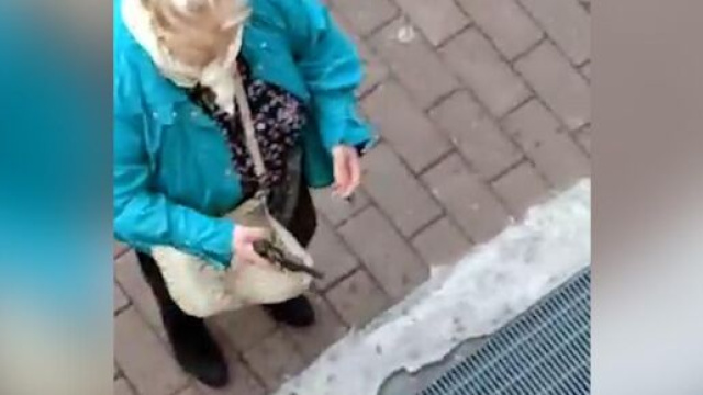 Treviglio, in un video amatoriale girato da un residente, la 71enne Silvana Erzembergher &egrave; con un revolver in mano dopo aver ucciso un vicino.