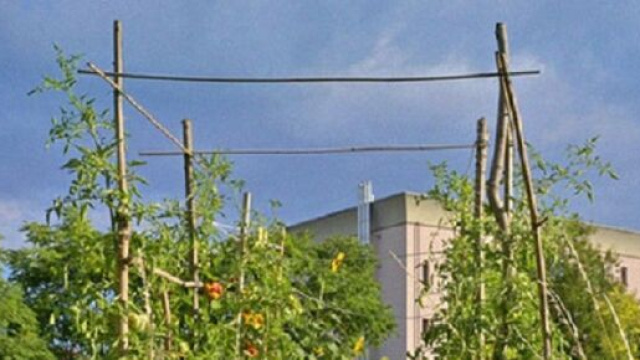 Orti d'Ortica, il film che racconta il quartiere Ortica, celebrato anche da Jannacci, che rinasce grazie alla passione degli orto-giardinieri