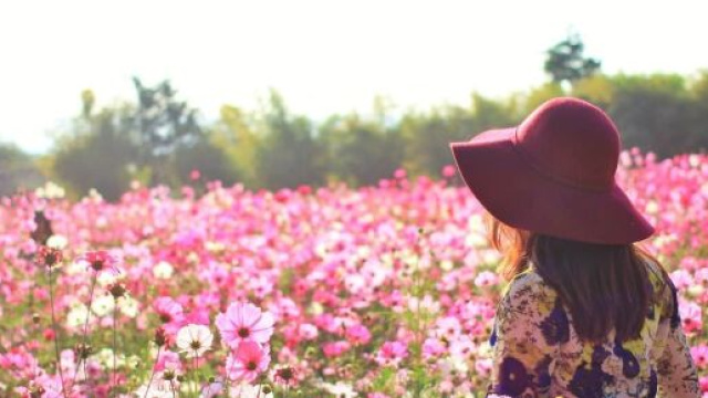 L'oroscopo e posizioni di marted&igrave; 3 maggio: Ariete e Toro in testa.