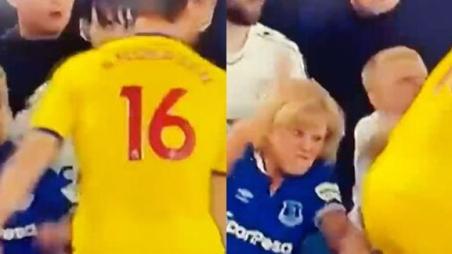 Une fan d'Everton n'a pas hésité à frapper un joueur de Palace. (crédit Twitter)