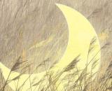 L'oroscopo settimanale dal 30 maggio al 5/06: Cancro favorito dal Sole, novità per Gemelli.