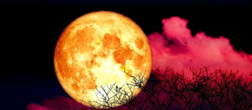 L'oroscopo del giorno 14 maggio: Luna in Scorpione, Bilancia 'si' in amore (2^ metà).
