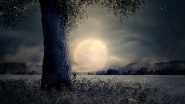 L'oroscopo settimanale dal 13 al 19 giugno: desideri esauditi per l'Ariete, Pesci vincenti